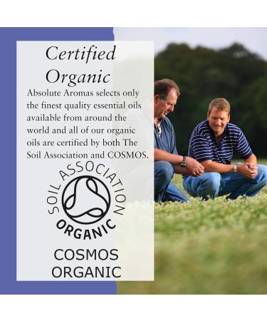 Organic Carrier Oils Set - Sweet Almond, Sunflower, Apricot Kernel - 3 x 100ml Glass Bottles | Absolute Aromas - Buy Online on GoSupps.com