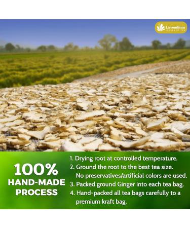 Lavendium Premium 75 Ginger Tea Bags 100% Natural & Pure from Ginger. Ginger Herbal Tea. Ginger Tea. No Sugar No Caffeine No Gluten Vegan. - Buy Online on GoSupps.com