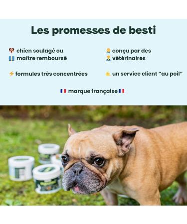 BESTI - 8 in 1 | 75 Premium Multi-VIT Food Supplements for Dogs | Vitality Probiotics Joints Coat Heart Brain | French Brand - Veterinary Formula | With Chicken | 300gr - Buy Online on GoSupps.com