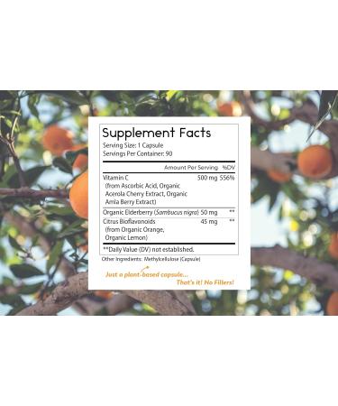 Thomas' all-natural Remedies Vitamin C with Organic Elderberry Organic Citrus Bioflavonids - Whole Food Supplement - Non-GMO - Raw Vegan - 90 Capsules - Buy Online on GoSupps.com