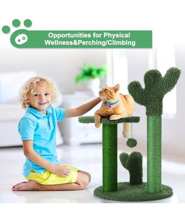 T2Y Cactus Cat Scratching Post - 3 Scratch Posts with Dangling Bell Ball - Premium Sisal Scratcher for Indoor Cats - Buy Online on GoSupps.com