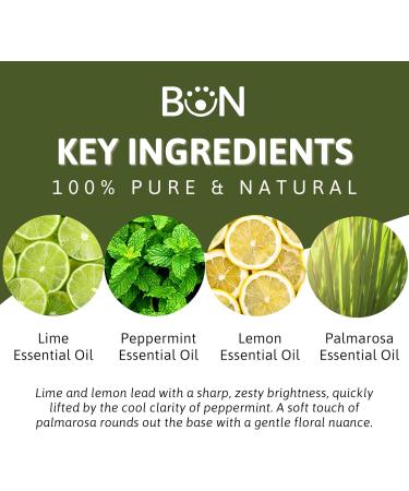 Best of Nature Essential Oil Blend 100% Pure for Diffuser Aromatherapy & Relaxation (Invigorating) - Buy Online on GoSupps.com