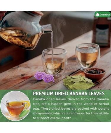 Lavendium 50+ Natural Banaba Dried Leaves Whole Banaba Leaves 100% Pure Dried Banaba Leaves Banaba Leaf Herbal Tea No Additives No Caffeine Vegan - Buy Online on GoSupps.com