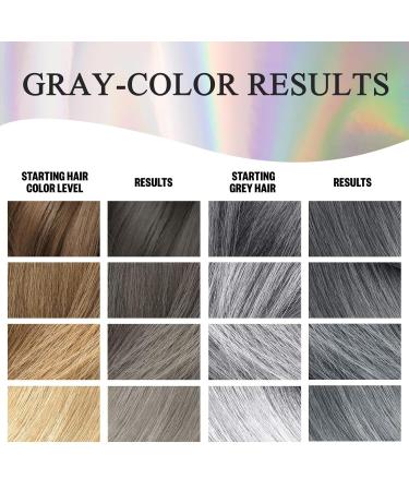 Silver Gray Hair Dye Shampoo 3 in 1 | Root Touch-Up & Grey Coverage for All Hair Types | Lasts Up to 3 Weeks | Natural Plant-Based Formula - Buy Online on GoSupps.com