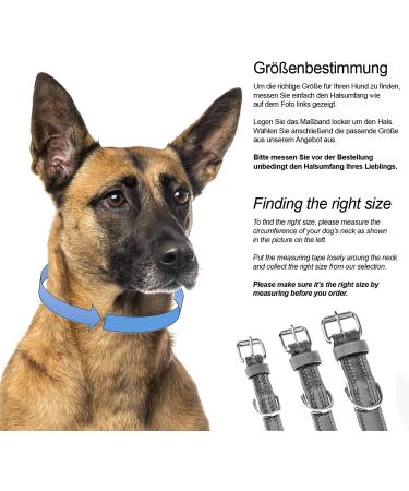 XXL Leather Sniffing Fans Collar for Dogs - Padded Robust & Stylish (55-65cm Gray) - Perfect for Large Medium & Small Breeds - Buy Online on GoSupps.com