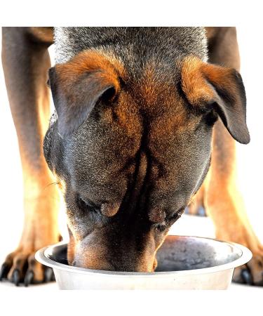 Hypoallergenic and grain-free dry kibble for adults with lamb sweet potatoes and mint 6 kg - Buy Online on GoSupps.com