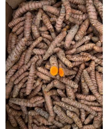 Curcuma frais 250 g | Curcuma racine naturelle de production locale Malaga | Culture locale | Go t intense et ar me naturel | Pour infusions jus shots et cuisine 250gr