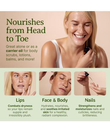 Bella Terra Oils - Avocado Oil 2oz - Celebrate Avocado's Nutritional Legacy Infused with Monounsaturated Fats A Delight for Cosmetic Uses 2 Fl Oz (Pack of 1) - Buy Online on GoSupps.com