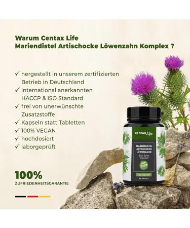 Mary Thistle Complex - 80% Silymarin Capsules with Dandelion & Artichokes | High Dose Vegan Supplement with Zinc Selenium & Vitamin E - 120 Lab-Tested Capsules - Buy Online on GoSupps.com