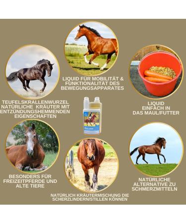 Devil's Claw Horse 1L Joint Plus Natural Devil's Claw Horses I Horses Liquid Joints for Support of Musculoskeletal System & Joints in the Case of Horse Osteoarthritis - Buy Online on GoSupps.com