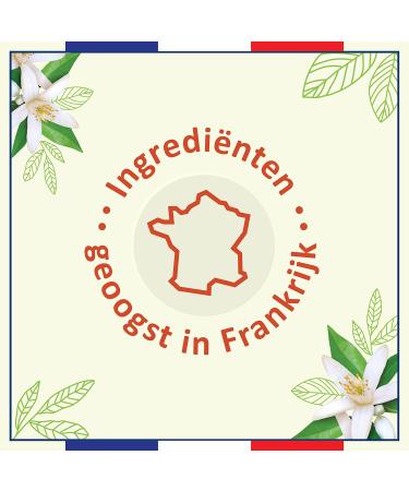 JOHNSON JOHNSON Le Petit Marseillais Extra Doux Bio Orange Blossom Shower Cream vegan shower cream with orange blossom 12 x 250 ml - Buy Online on GoSupps.com