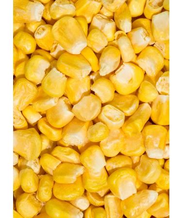  KoRo KoRo - Freeze-dried corn 350g - Gentle freeze-drying - Ideal as a snack or topping - Full corn flavor - Buy Online on GoSupps.com