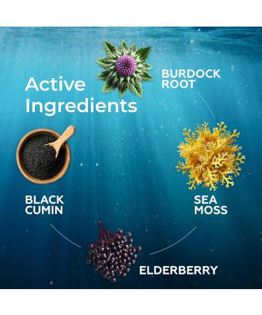 Irish Sea Moss Liquid Drops - with Black Elderberry, Burdock Root & Black Cumin - Liquid Supplement - Elderberry Flavor - 2 Fl Oz (60ml) - Buy Online on GoSupps.com