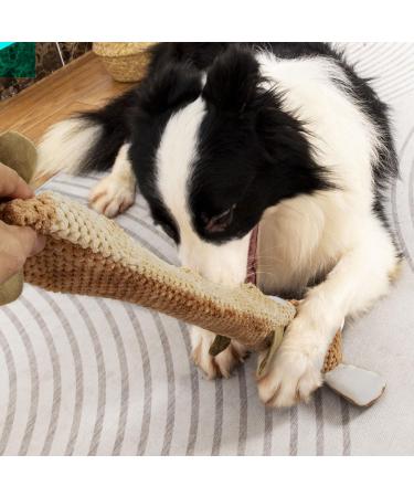 Buy Intelligence Sniffing Toys for Dogs | Squeaky & Stress-Reducing Toys for Medium Puppies | International Shipping - Buy Online on GoSupps.com