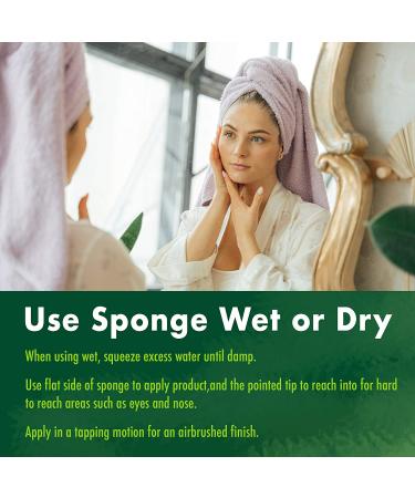 EcoTools Makeup Blender Sponge for Liquid Foundation & Concealer - 80oz Perfecting Applicator - Buy Online on GoSupps.com