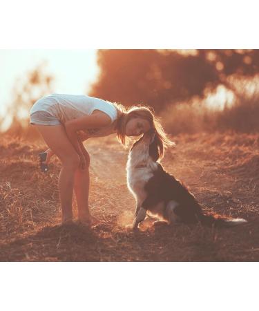 Premium Rabbit Ears for Dogs - 500g | 100% German Made | Odor-Neutral Treats | Pridedogs Kausnack - Buy Online on GoSupps.com