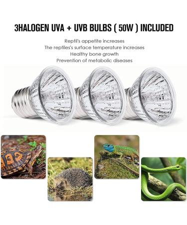 Tortoise Heat Lamp 50W UVA UVB Basking Lamp with 360 Rotatable Clip & Power Adapter 30cm Rotatable Gooseneck with 3 x 50W Heat Bulb Heating Light for Reptiles Lizard Turtle Snak Aquarium - Buy Online on GoSupps.com