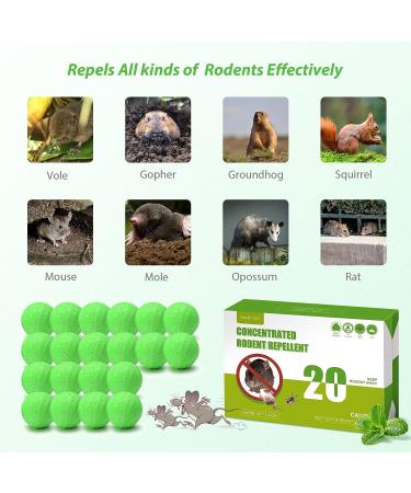 MAGIC CAT 20 Pack Peppermint Oil Rodent Repellent Balls - Natural Mouse Away for Car Engines, RV, Closet, Garage, Home - Pet Safe Rodent Control Solution - Buy Online on GoSupps.com