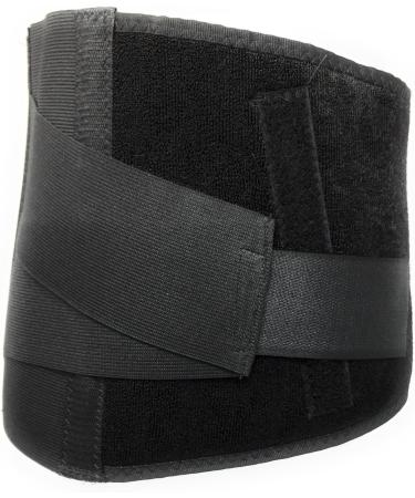 CHAMPION Industrial Belt Back Brace | Abdominal Support | Black | Regular | Comfort & Stability for Every Day - Buy Online on GoSupps.com