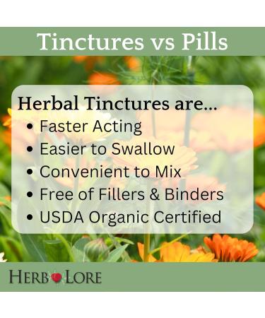 Herb Lore Organic Shatavari Root Extract Tincture - Liquid Shatavari Drops (Asparagus Racemosus) for Lactation and Wellness Support - Alcohol Free (2 fl oz) 2 Fl Oz (Pack of 1) - Buy Online on GoSupps.com