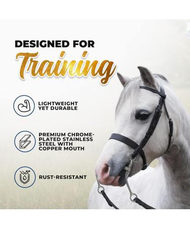 Colorado Saddlery Super Hinged Trainer Bit for Horses Stainless Steel - Buy Online on GoSupps.com