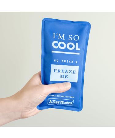 AllerMates Long Lasting Ice Gel Pack for Kid's Children's Large Medicine Cases - Buy Online on GoSupps.com