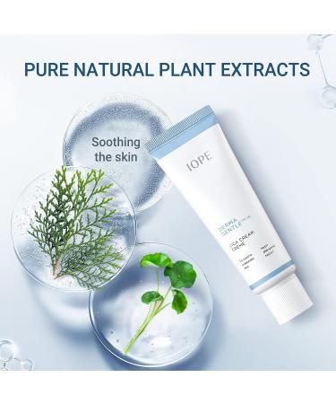 IOPE Cica Face Cream 1.69 FL.OZ - Centella Madecassoside Day/Night Moisturizer for Skin Barrier, Paraben-Free - Buy Online on GoSupps.com