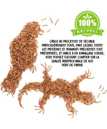 Dried Mealworms 500g 3250ml - Premium Quality Treat for Birds Hedgehogs Turtles Reptiles Fish Rodents - Buy Online on GoSupps.com