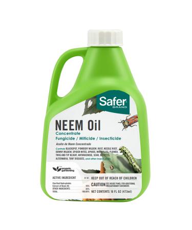Safer Brand 5182-6 Neem Oil Concentrate Insecticide, Miticide, Fungicide for Plants - Kills Insects and Mites and Controls Fungal Disease - OMRI Listed for Organic Use