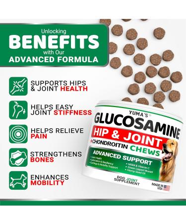 Glucosamine Hip & Joint Treats for Dogs - Turmeric Chondroitin MSM Green-Lipped Mussel - Vet Crafted - Made in USA - Buy Online on GoSupps.com