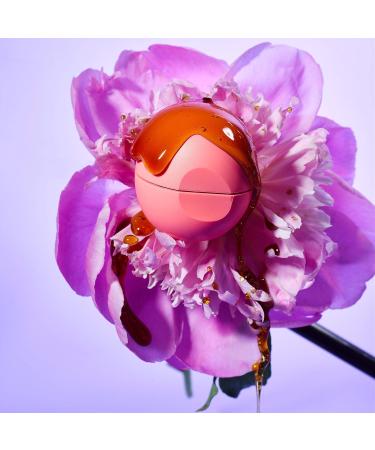 eos Lip Balm - Honey | USDA Organic Lip Care to Nourish Dry Lips | 100% Natural and Gluten Free | Long Lasting Hydration | 2 Pack - Buy Online on GoSupps.com