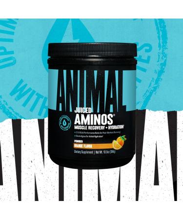 Animal Whey Isolate Whey Protein Powder Isolate Loaded for Post Workout and Recovery & Juiced Aminos - 6g BCAA/EAA Matrix plus 4g Amino Acid Blend - Buy Online on GoSupps.com