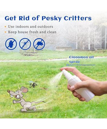 HIQILI 30ML Cinnamon Essential Oil & 150ML Blueberry Fragrance Oil for DIY Diffuser - Buy Online on GoSupps.com