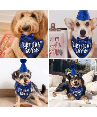 Dog Birthday Hat & Bandana Set - 3pcs Blue Dog Party Accessories for Boys & Girls - Perfect for Puppies & Cats - Buy Online on GoSupps.com