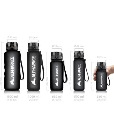Alphapace 350ml BPA-Free Sports Bottle | Outlet-Safe Water Bottle for Outdoor & Bicycle Activities | Black with Fruit Insert - Buy Online on GoSupps.com