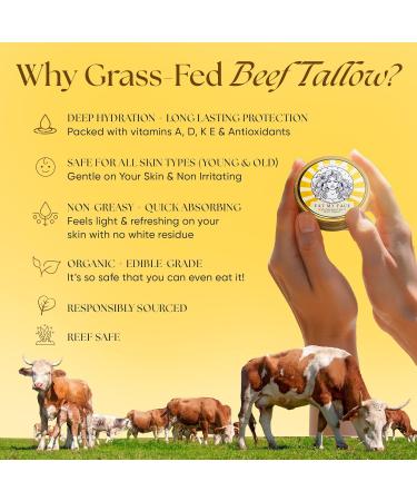 Eat My Face Beef Tallow Sunscreen SPF 30 & Beef Tallow Soap Bundle Organic Sunscreen for Face with Non Nano Zinc Oxide Reef Sun Protection Unscented Soap Bar Moisturizing Handmade Tallow Soap - Buy Online on GoSupps.com