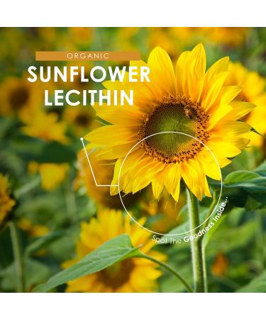 Poudre de l cithine de tournesol 100 g - 97 % de mati res grasses essentielles d graiss es - Qualit sup rieure - Sachet refermable et recyclable Alpha01 100 g (Pack of 1) - Buy Online on GoSupps.com