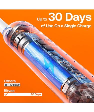 Bitvae R2 Rotating Electric Toothbrush for Adults with 8 Brush Heads Travel Case 5 Modes Rechargeable Power Toothbrush with Pressure Sensor 3 Hours Fast Charge for 30 Days Black Black 1 Pack - Buy Online on GoSupps.com