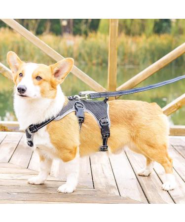 Belpro Multi-Purpose Dog Harness - No Pulling Reflective Adjustable Vest for Large Dogs (Black M) - Durable Handle & Dog Dishes Included - Buy Online on GoSupps.com