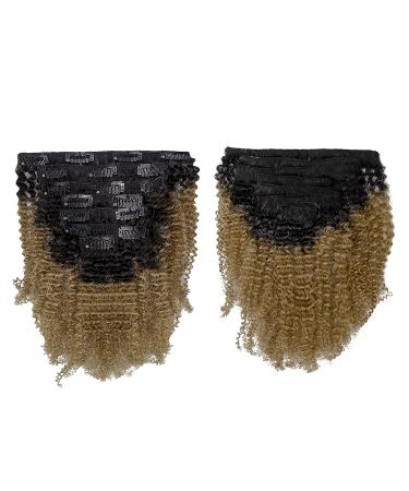 Anrosa 10 Inch Blonde Afro Kinky Curly Clip in Hair Extensions - 120g Human Hair 4A 4B for Black Women, 1B Ombre 1B/27 - Buy Online on GoSupps.com