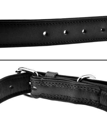 Premium Leather Sniffing Fans Dog Collar for All Sizes - Padded & Durable (XL: 46-55cm Black) - Buy Online on GoSupps.com