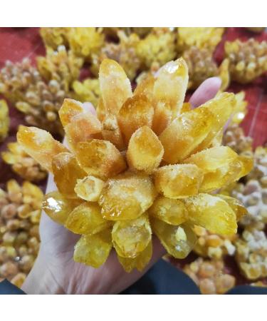 Crystal Rough Natural Crystal Rough Specimen 700-800g Natural Yellow Ghost Phantom Quartz Crystal Cluster Rock Stones and Crystals ReikiSpecimen HomeStone