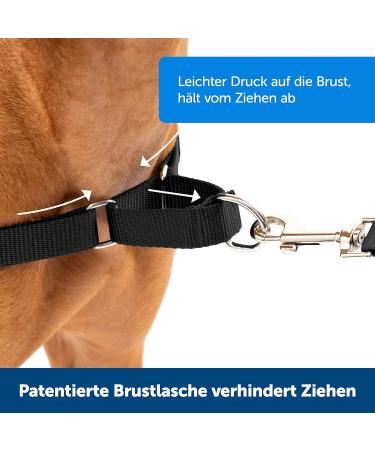 Buy PetSafe Easy Walk Harness - Anti-Pull Dog Harness (Size M Pink) with 1.8M Leash | Reduces Choking & Coughing - Shop Internationally! - Buy Online on GoSupps.com