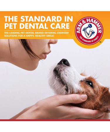 Arm & Hammer Clinical Gum Health Dental Kit for Dogs - Chicken Flavor, 3 Piece Set - Buy Online on GoSupps.com