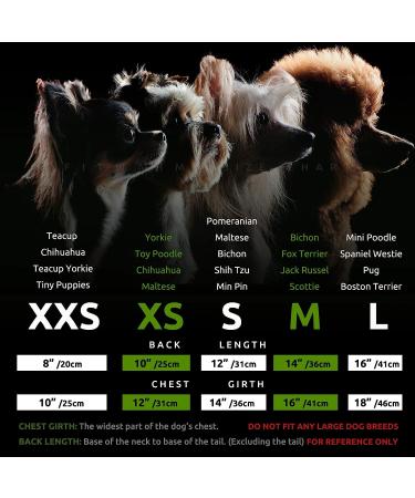 Fitwarm Fancy Flower Dog Dress for Mothers Day | Girl Dog Clothes Wedding Gown | Pet Birthday Party Outfit | Puppy Lace Dress in Pink - XS - Buy Online on GoSupps.com