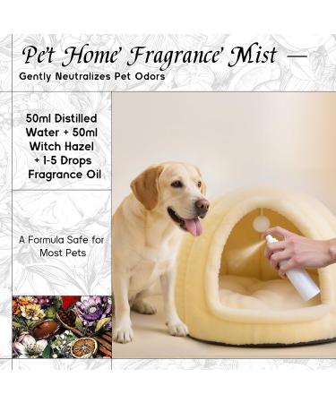 HIQILI 30ML Sweet Orange Essential Oil & 30ML Myrtle & Orange Blossom Fragrance Oil for DIY Diffuser - Buy Online on GoSupps.com