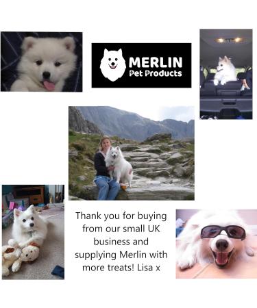 Merlin Pet Products Small Dog Treat Bag Training Pouch Pocket Size Travel Walking Walk Treats Pouch Bag For Lead Treats (Black) - Buy Online on GoSupps.com