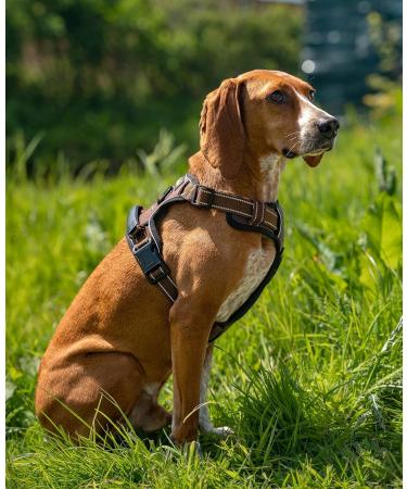 Lionto Padded Anti-Pull Dog Harness | Reflective & Adjustable Safety Harness | Size M Brown - Shop Now! - Buy Online on GoSupps.com
