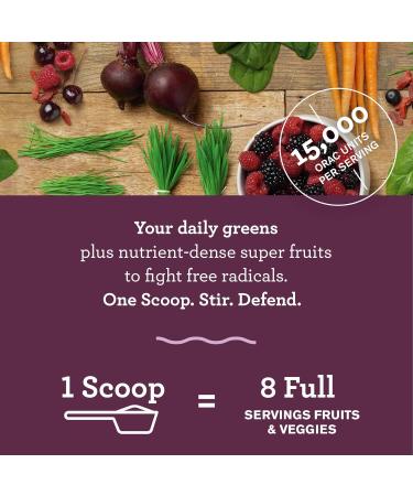 Amazing Grass Green Superfood Antioxidant Organic Powder with Greens & Acai Flavor: Sweet Berry 30 Servings 7.4 Ounces - Buy Online on GoSupps.com