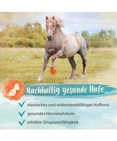 Ida Plus Biotin & Zinc for Horses - High-Dose Supplement for Hoof Quality Skin Fur & Immune Support - 750g - Premium Comparison Winner - Buy Online on GoSupps.com